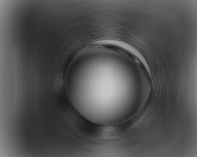 X0000089660085200706281329
