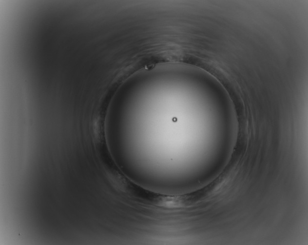 X0000089660088200706281329