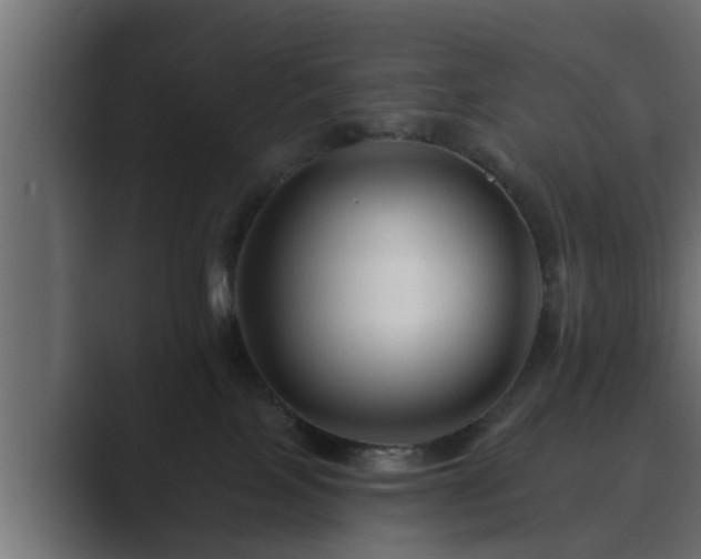 X0000089660089200706281329