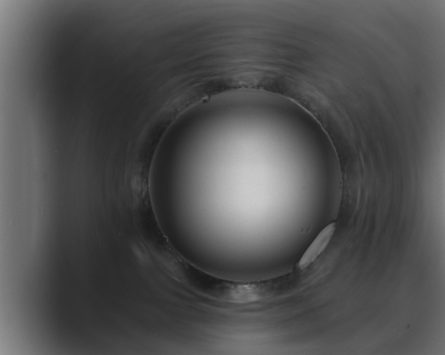 X0000089660091200706281329