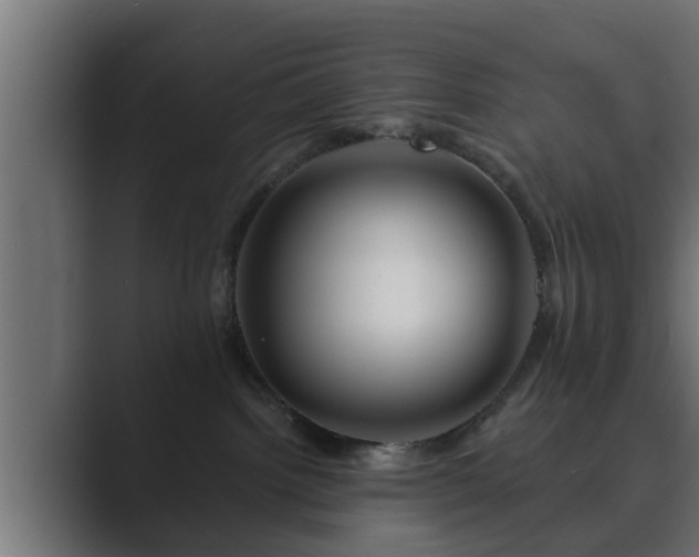 X0000089660092200706281329