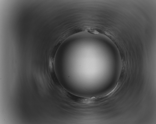 X0000089660094200706281329