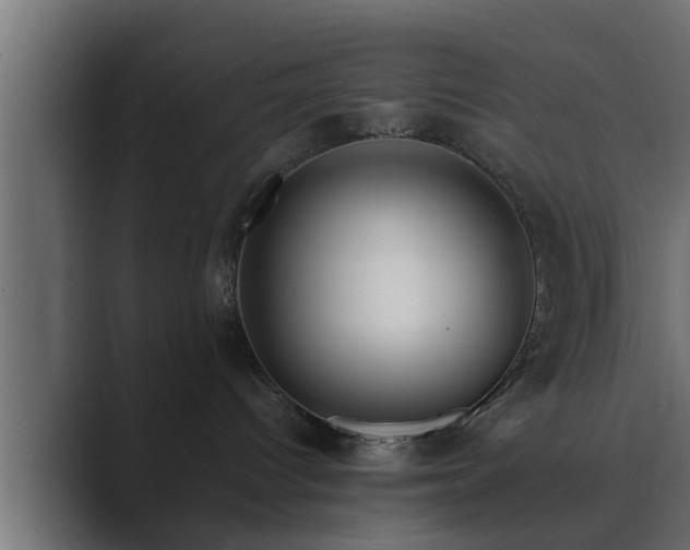X0000089660096200706281329
