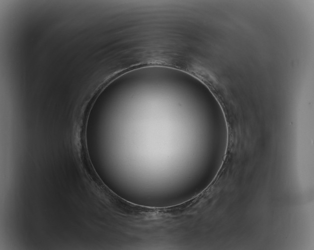 X0000089660098200706281328