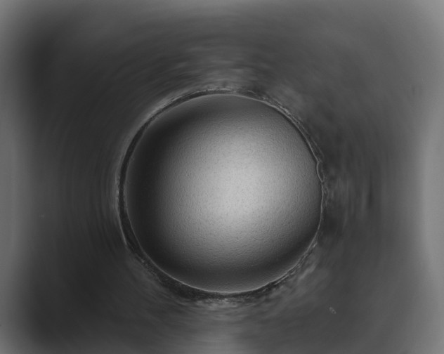 X0000089660100200706281328