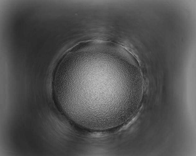 X0000089660101200706281328