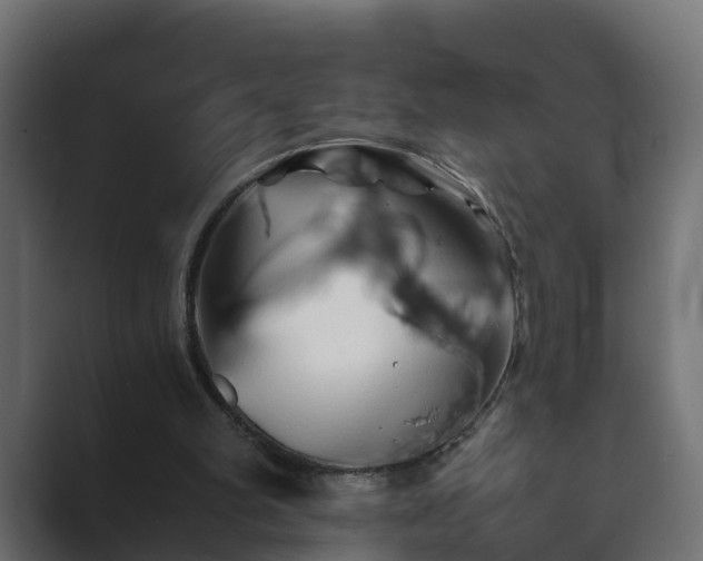 X0000089660102200706281328