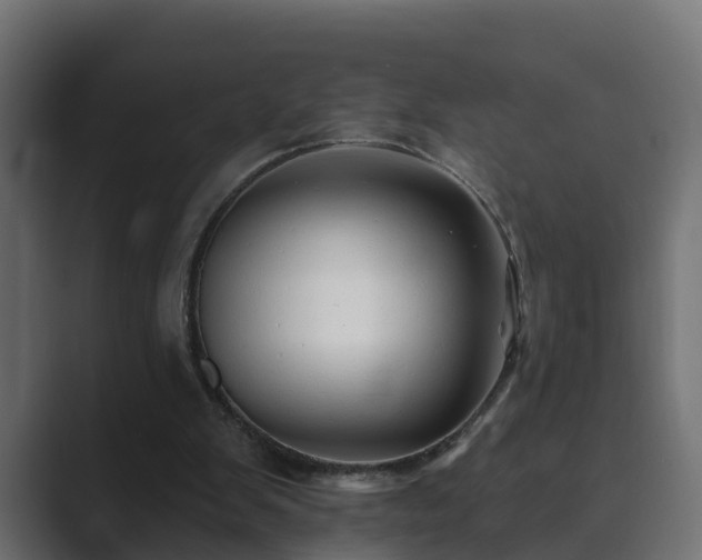 X0000089660103200706281328