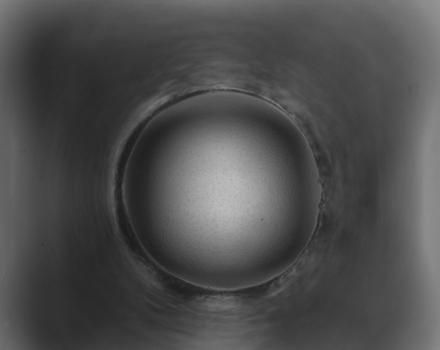 X0000089660104200706281328