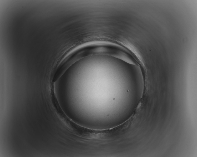 X0000089660105200706281328