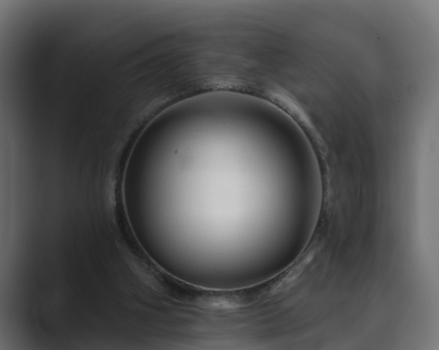 X0000089660106200706281328