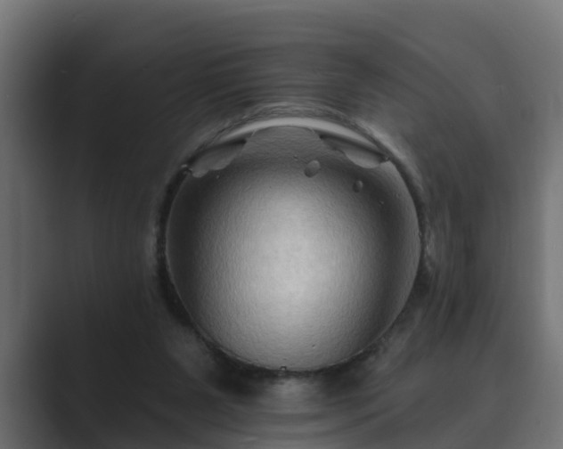 X0000089660111200706281328