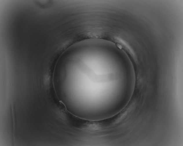 X0000089660113200706281328