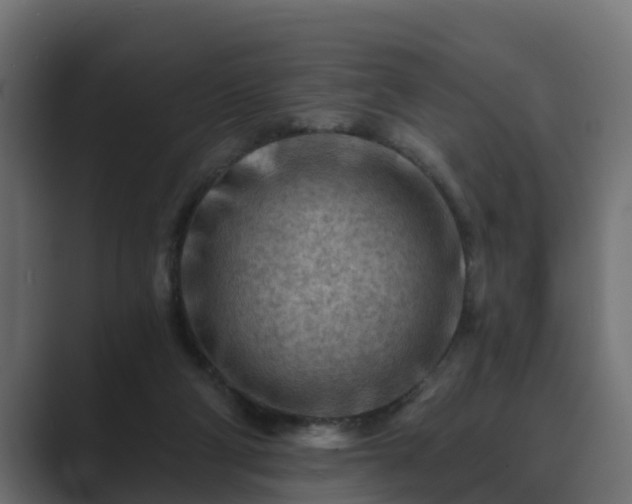 X0000089660114200706281328