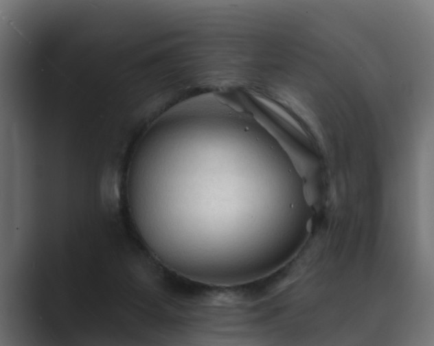 X0000089660115200706281328