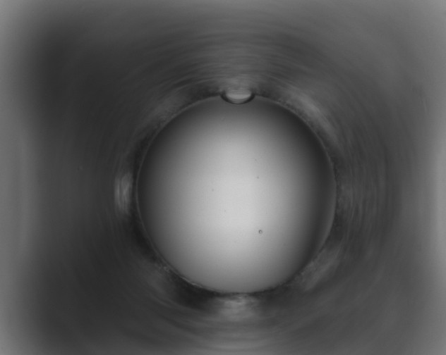 X0000089660118200706281328