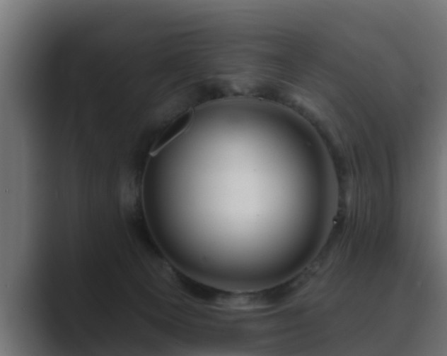 X0000089660129200706281328