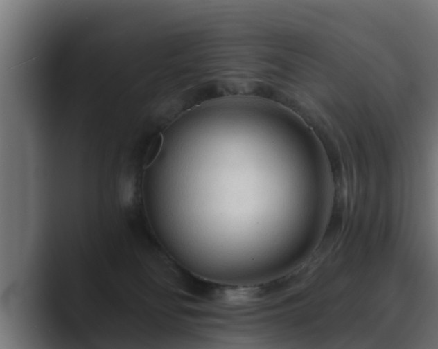 X0000089660134200706281328
