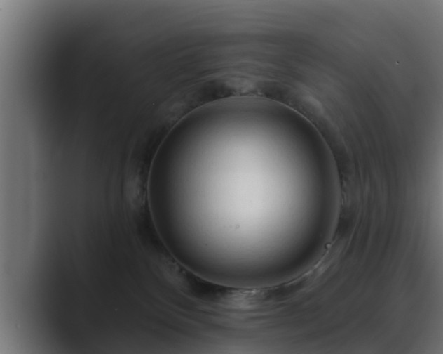 X0000089660136200706281328
