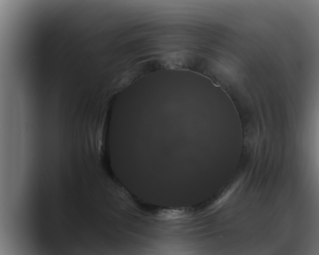 X0000089660139200706281328