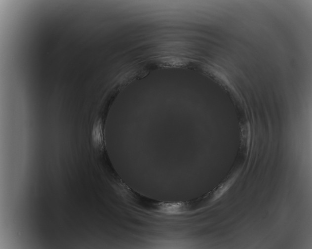 X0000089660143200706281328