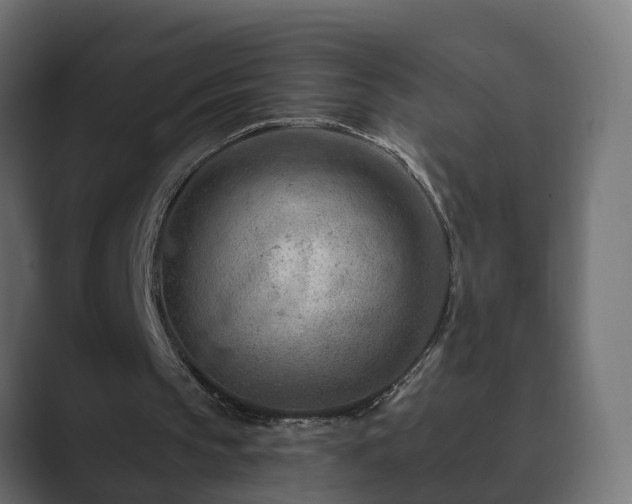 X0000089660145200706281327