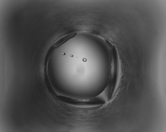 X0000089660150200706281327