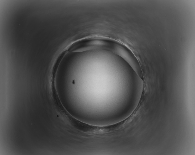 X0000089660152200706281327