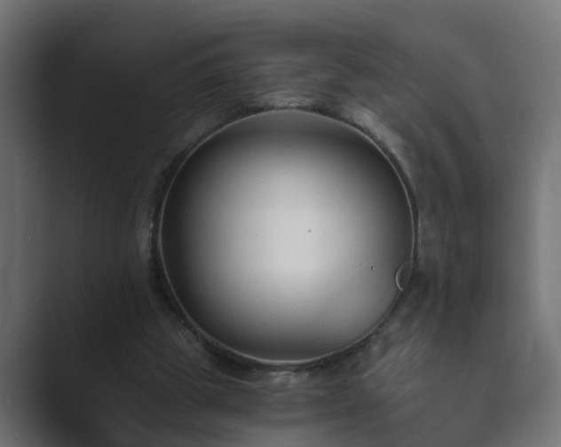 X0000089660153200706281327