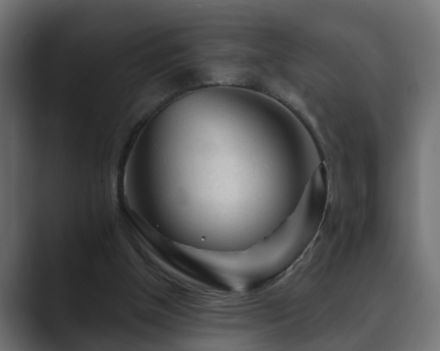 X0000089660154200706281327