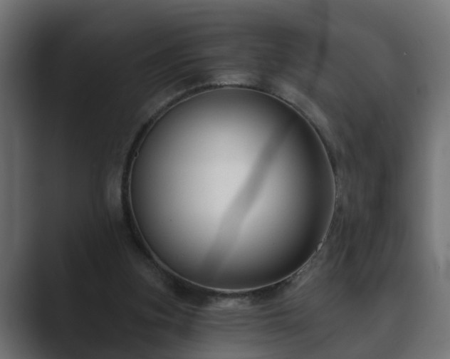X0000089660155200706281327