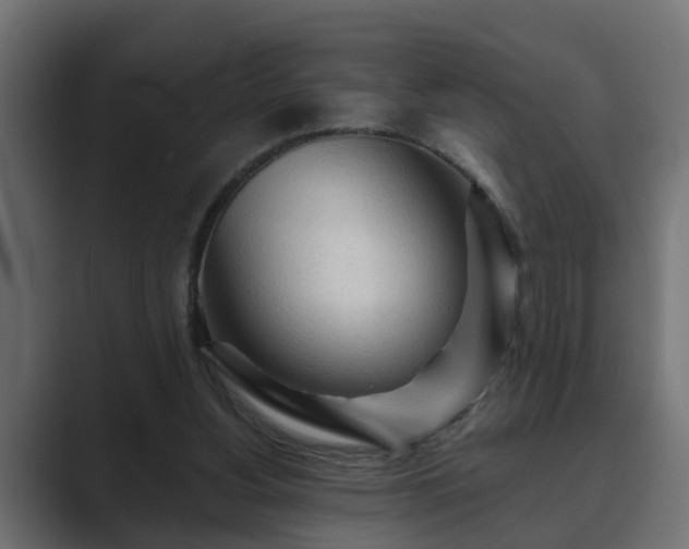 X0000089660156200706281327
