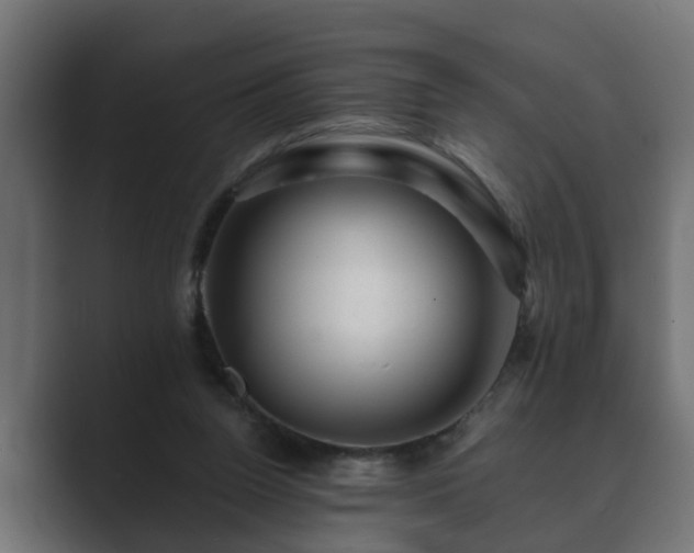 X0000089660160200706281327