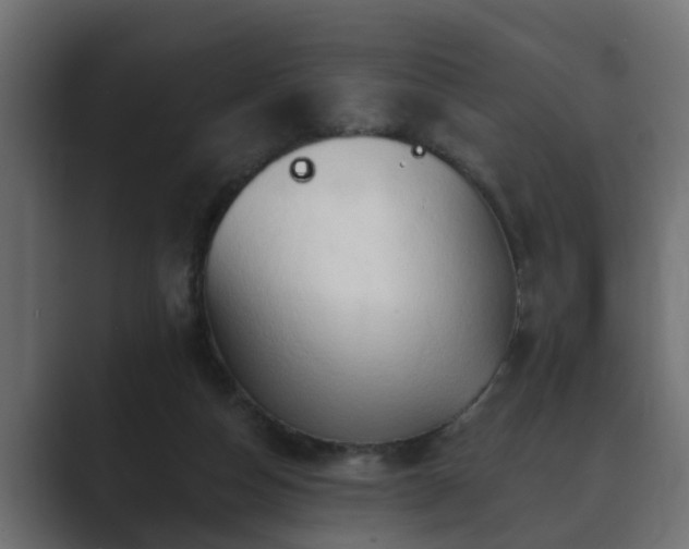 X0000089660162200706281327
