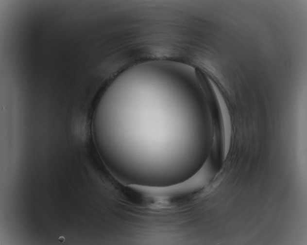 X0000089660164200706281327
