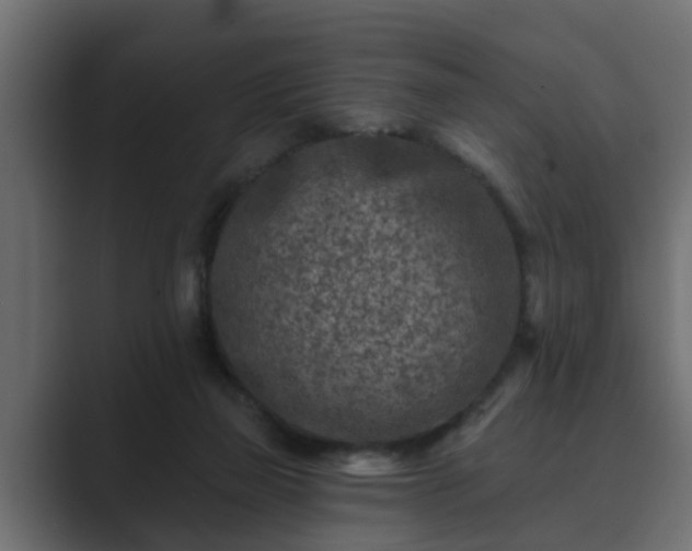 X0000089660165200706281327