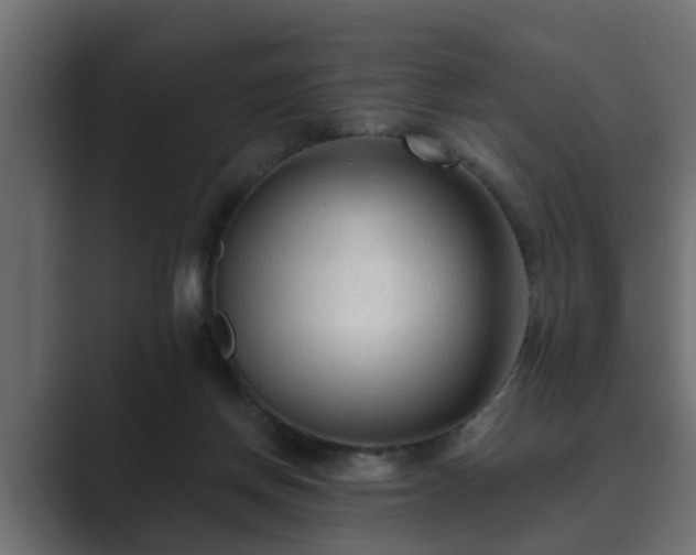 X0000089660166200706281327
