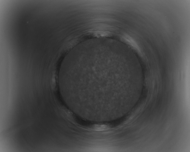 X0000089660169200706281327