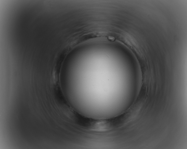 X0000089660173200706281327