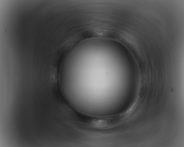 X0000089660174200706281328