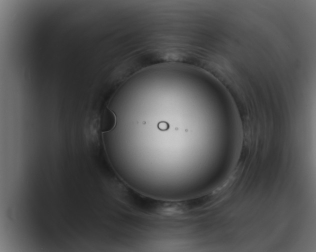 X0000089660175200706281328