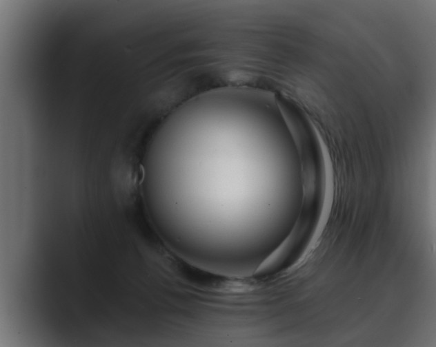 X0000089660176200706281328