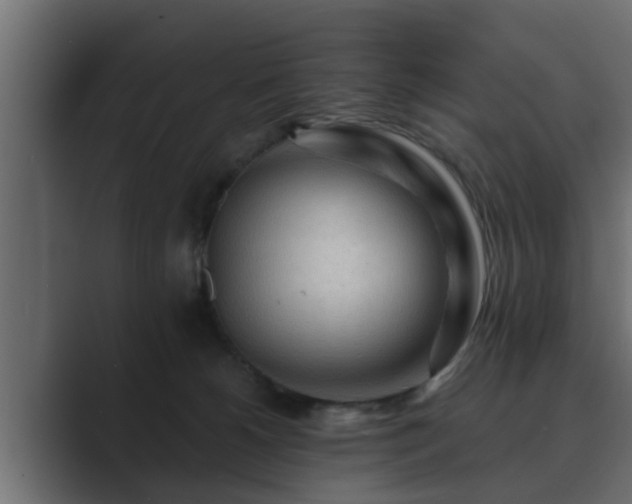 X0000089660180200706281328