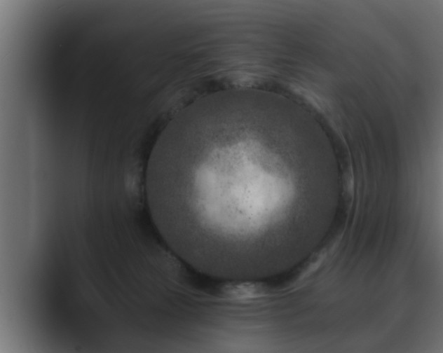 X0000089660181200706281328