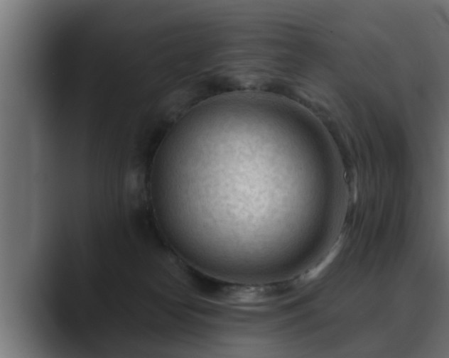 X0000089660182200706281328