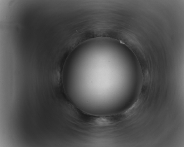 X0000089660183200706281328