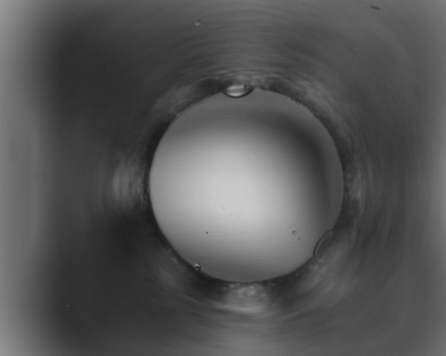 X0000089660185200706281328