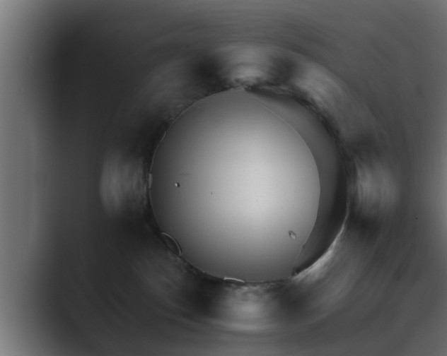 X0000089660186200706281328