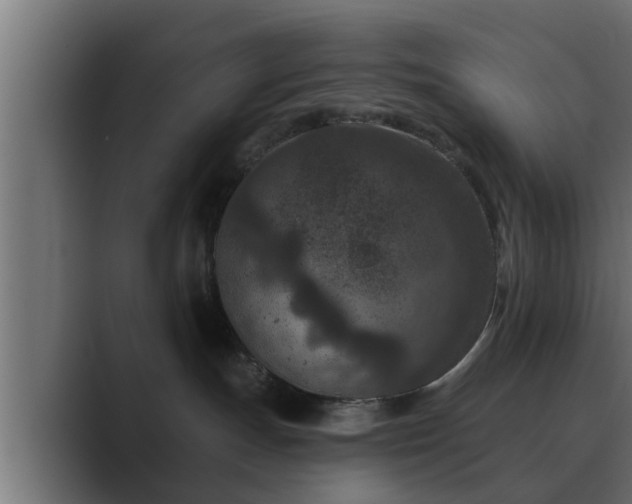 X0000089660191200706281328