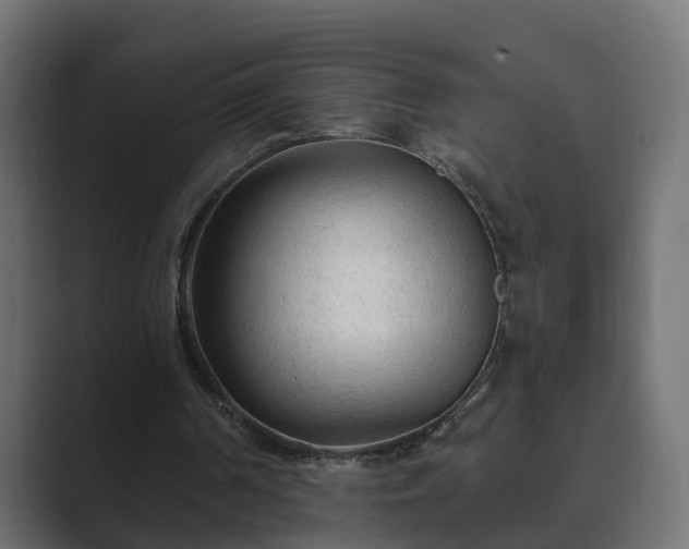 X0000089660194200706281327